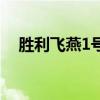 胜利飞燕1号能造出来吗（胜利飞燕1号）