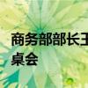 商务部部长王文涛主持召开葡萄牙中资企业圆桌会