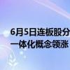 6月5日连板股分析：申华控股午后一度“天地板” 车路云一体化概念领涨