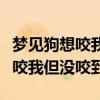 梦见狗想咬我但没咬到有什么预兆（梦见狗想咬我但没咬到）