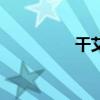 干艾叶图片（艾叶图片）