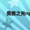 奥雅之光npc大全（奥雅之光怎么结婚）