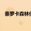 泰罗卡森林任务差4个（泰罗卡森林任务）