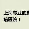 上海专业的皮肤病医院排名（上海专业的皮肤病医院）