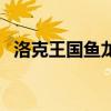 洛克王国鱼龙宝宝技能表（洛克王国鱼龙）