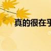 真的很在乎的歌词含义（真的很在乎）