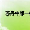 苏丹中部一村庄遭袭致100多名平民死亡