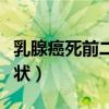 乳腺癌死前二三天症状（乳癌死前两三天的症状）