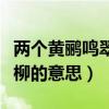 两个黄鹂鸣翠柳这句诗的意思（两个黄鹂鸣翠柳的意思）