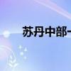苏丹中部一村庄遭袭 至少100人死亡