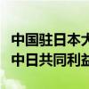 中国驻日本大使在日媒发文：新能源合作符合中日共同利益