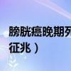 膀胱癌晚期死前征兆是什么（膀胱癌晚期死前征兆）