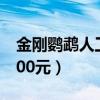 金刚鹦鹉人工养殖基地（人工养殖金刚鹦鹉200元）