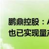 鹏鼎控股：AI服务器是鹏鼎重点开发的领域 也已实现量产