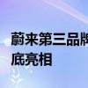 蔚来第三品牌萤火虫提速：首发中国或今年年底亮相
