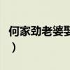 何家劲老婆娶过几个老婆（何家劲的老婆是谁）