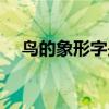 鸟的象形字是什么样子的（鸟的象形字）