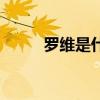 罗维是什么人（罗维是谁的儿子）