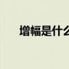 增幅是什么意思呢（增幅是什么意思）