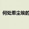 何处惹尘埃的意思是什么（何处惹尘埃txt）