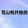 苍山有井独自空有几个人（苍山有井独自空）