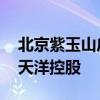 北京紫玉山庄亿元豪宅面临法拍 涉及地产商天洋控股