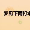 梦见下雨打伞是什么意思（梦见下雨打伞）