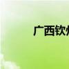 广西钦州发布暴雨红色预警信号