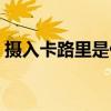 摄入卡路里是什么意思（卡路里是什么意思）