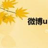 微博uid在哪里看（微博uid）