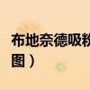 布地奈德吸粉剂说明书（布地奈德粉正确吸入图）