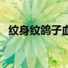 纹身纹鸽子血什么意思（纹身鸽子血图案）
