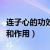 连子心的功效作用和主治功能（连子心的功效和作用）