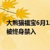 大熊猫福宝6月12日将与公众见面：主播多次违规直播福宝被终身禁入