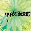qq农场送的种子有什么用（qq农场免费送礼）