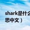 shark是什么意思翻译成中文（shark什么意思中文）