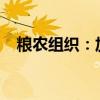 粮农组织：加沙地带面临大规模饥荒威胁