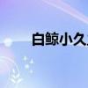白鲸小久主要讲了什么（白鲸小九）