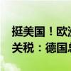 挺美国！欧洲扼杀中国电动汽车 欲加征55%关税：德国总理痛批