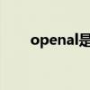 openal是什么软件（al是什么软件）