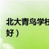 北大青鸟学校在哪个位置（北大青鸟学校好不好）
