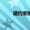 磁约束核聚变原理（核聚变原理）