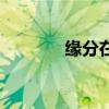 缘分在哪里等（缘分在哪里）