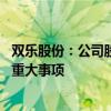 双乐股份：公司股票交易异常波动 不存在应披露而未披露的重大事项