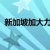 新加坡加大力度整顿家族理财室、避险基金