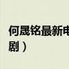 何晟铭最新电视剧在线观看（何晟铭最新电视剧）