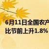 6月11日全国农产品批发市场猪肉平均价格为24.60元/公斤 比节前上升1.8%
