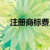 注册商标费用会计科目（注册商标费用）