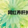 网红养肝护肝茶配方（老牌迪养肝茶）