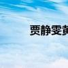 贾静雯黄磊电视剧（贾静雯黄磊）